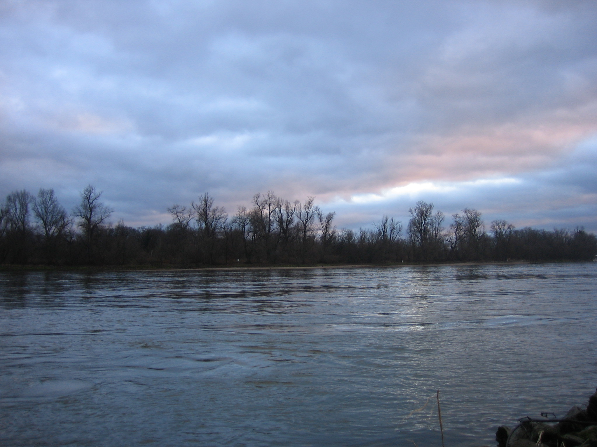 rhein2.jpg